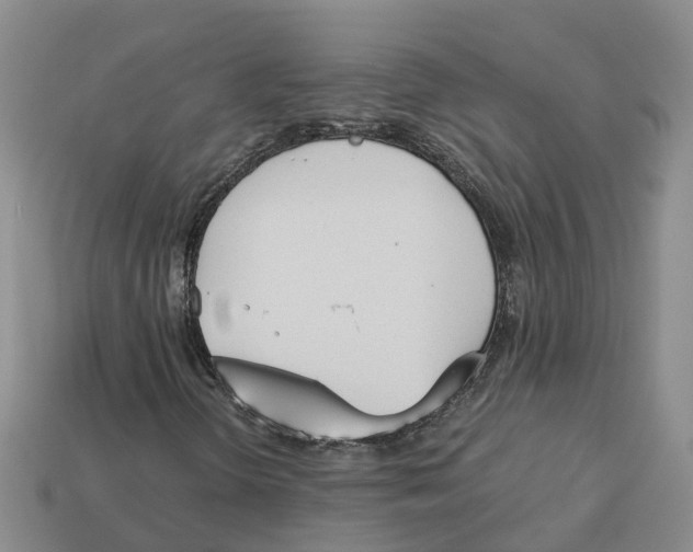 X0000113171298200910021514