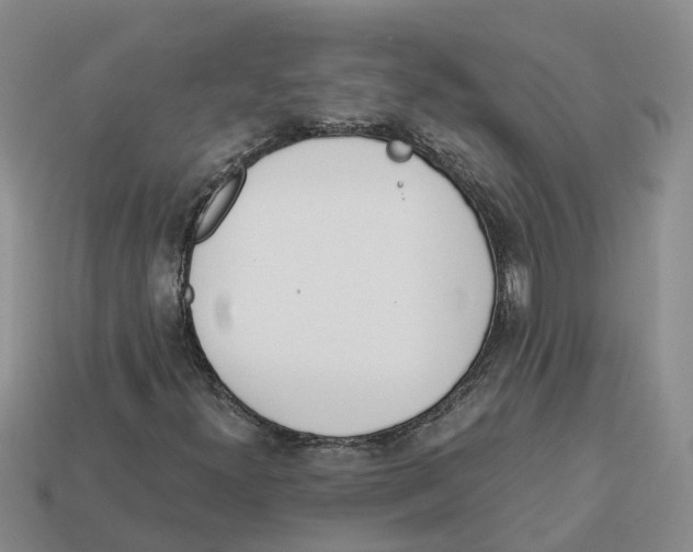 X0000113171300200910021514