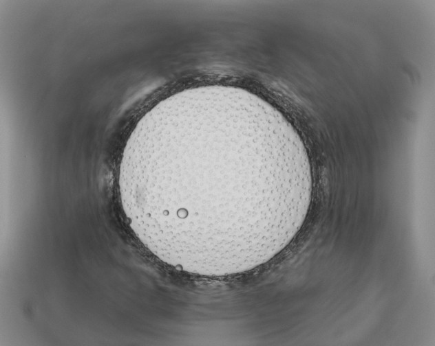 X0000113171302200910021514