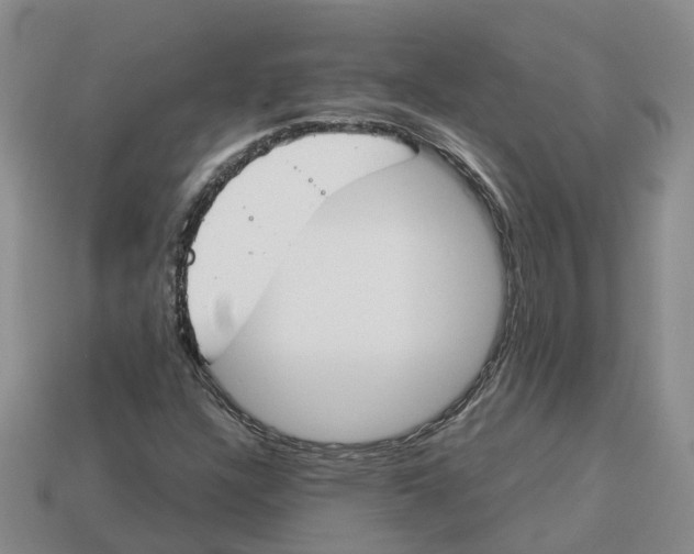 X0000113171304200910021514