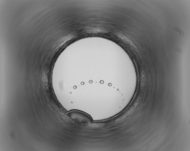 X0000113171305200910021514