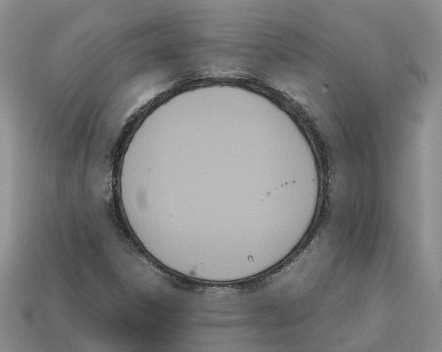 X0000113171306200910021514