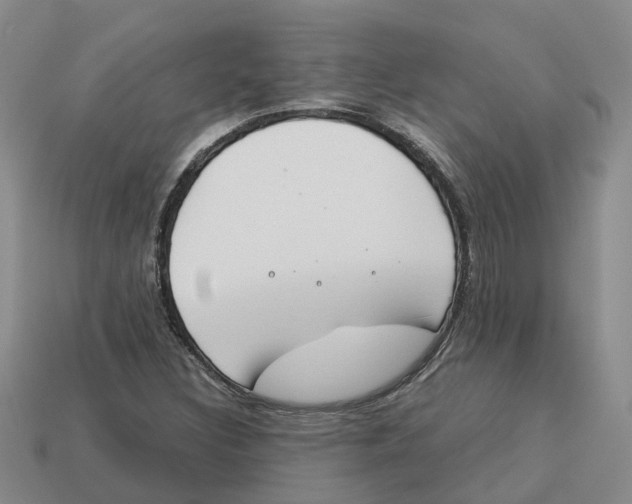 X0000113171308200910021514