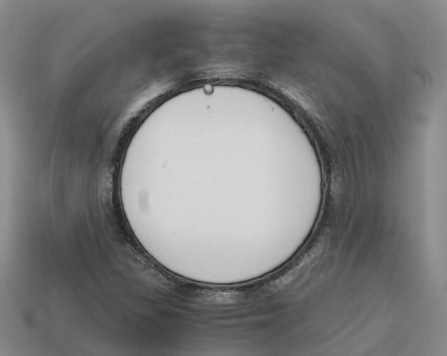X0000113171309200910021514