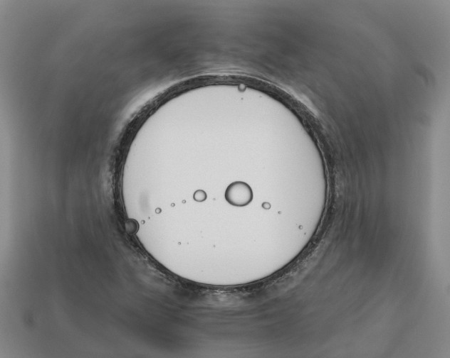 X0000113171311200910021514