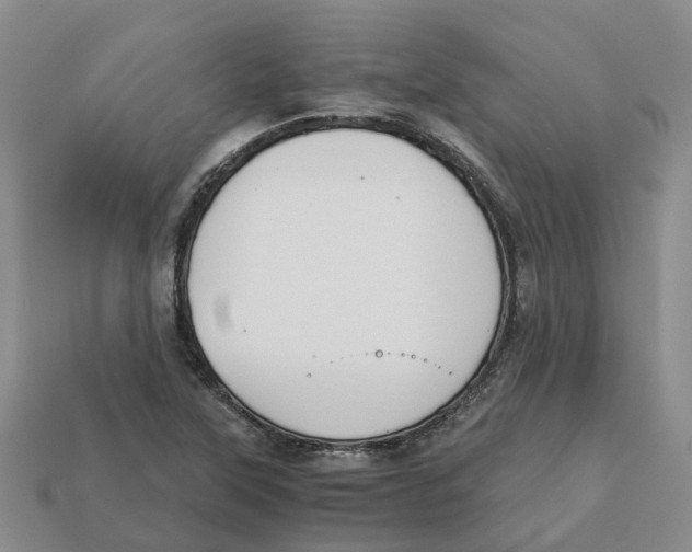 X0000113171315200910021514
