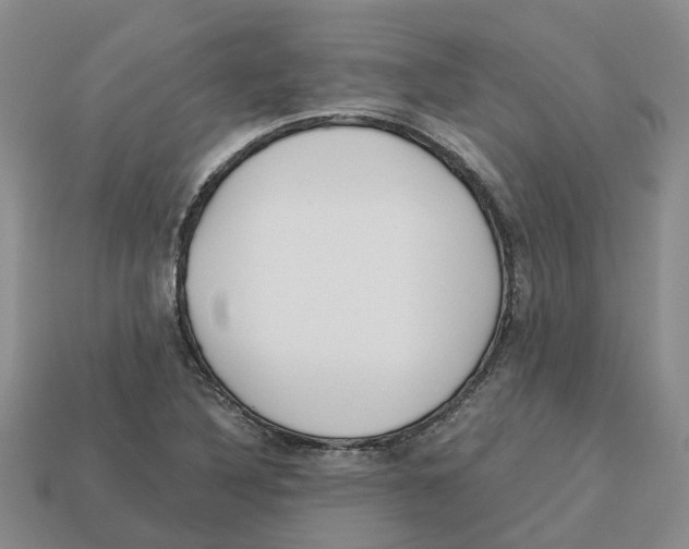 X0000113171316200910021514