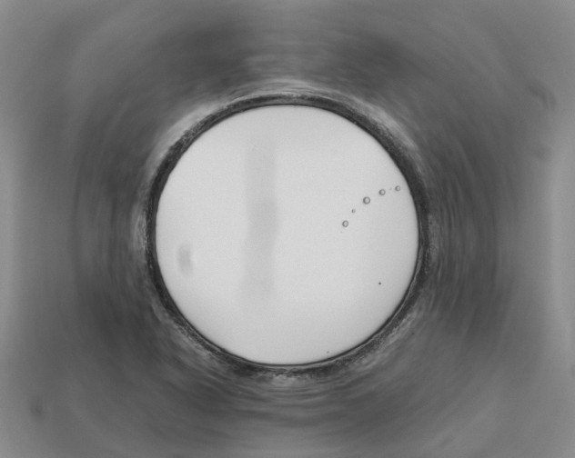 X0000113171318200910021514