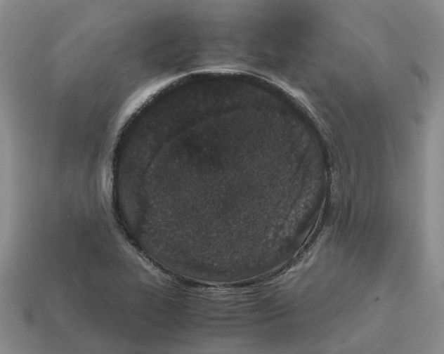 X0000113171319200910021514