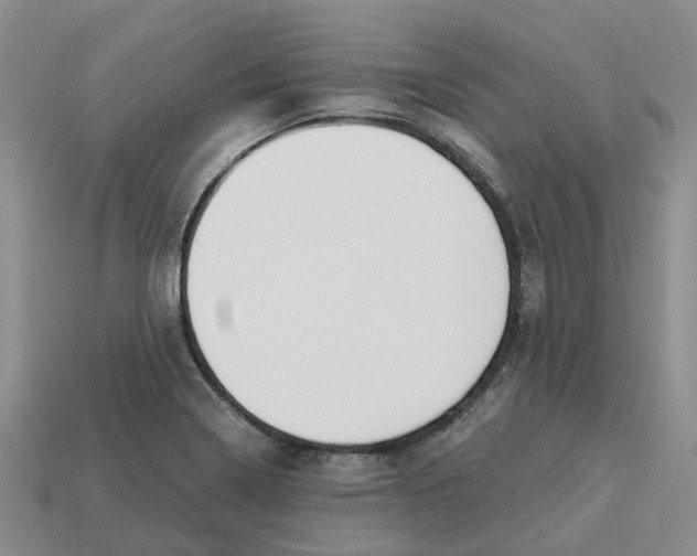 X0000113171322200910021514