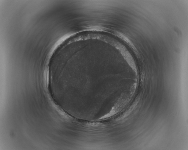 X0000113171323200910021514