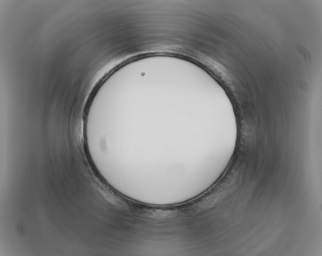 X0000113171324200910021514