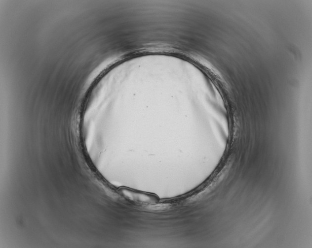 X0000113171325200910021514