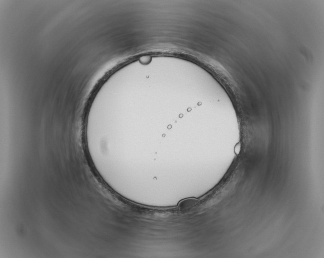 X0000113171326200910021514