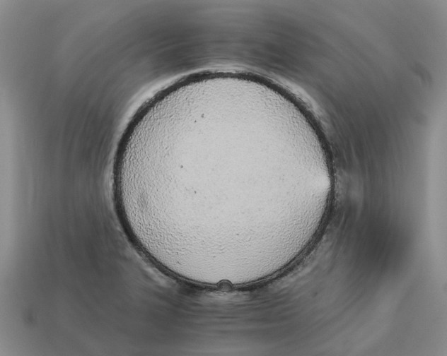 X0000113171327200910021514