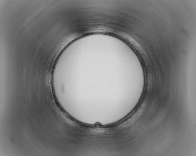 X0000113171329200910021514