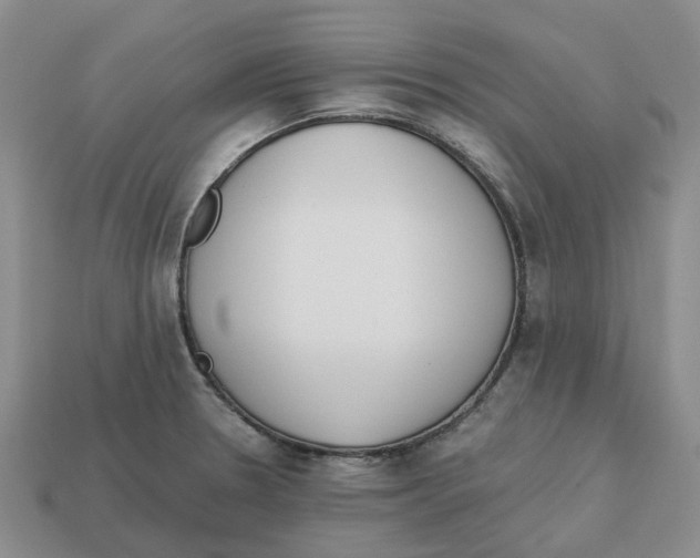 X0000113171330200910021514