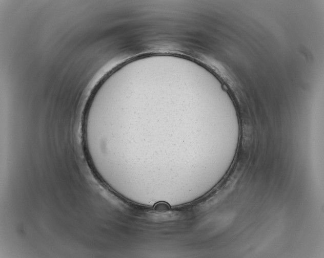 X0000113171331200910021514