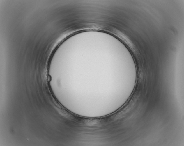 X0000113171332200910021514