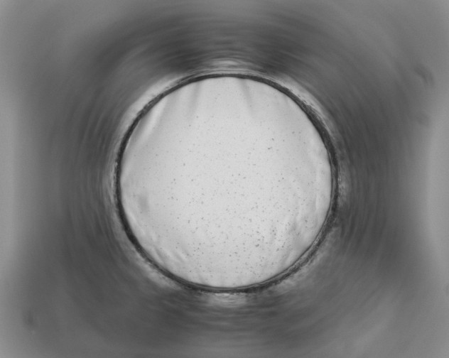 X0000113171333200910021514