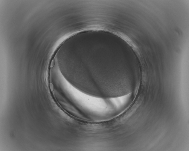 X0000113171334200910021514