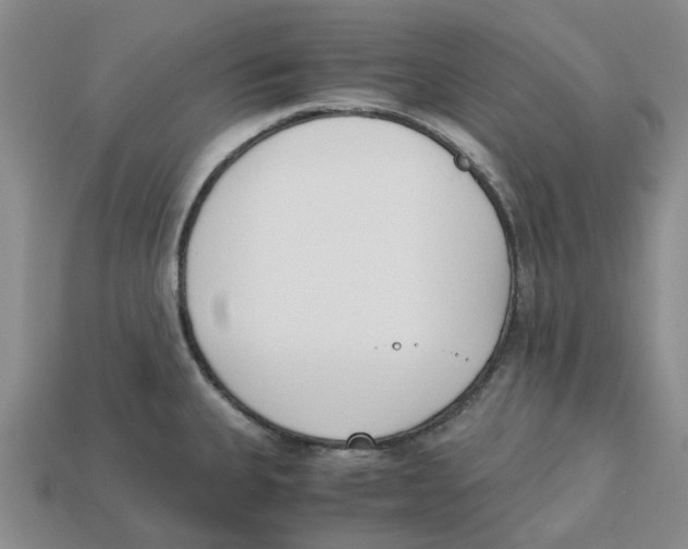 X0000113171335200910021514