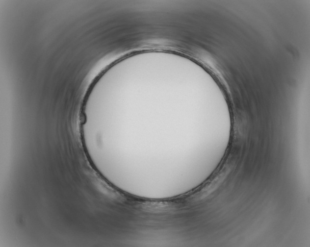 X0000113171336200910021514