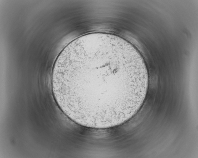 X0000113171338200910021514