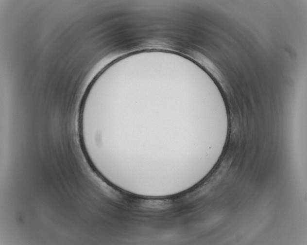 X0000113171339200910021514