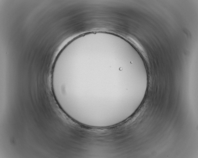 X0000113171340200910021514