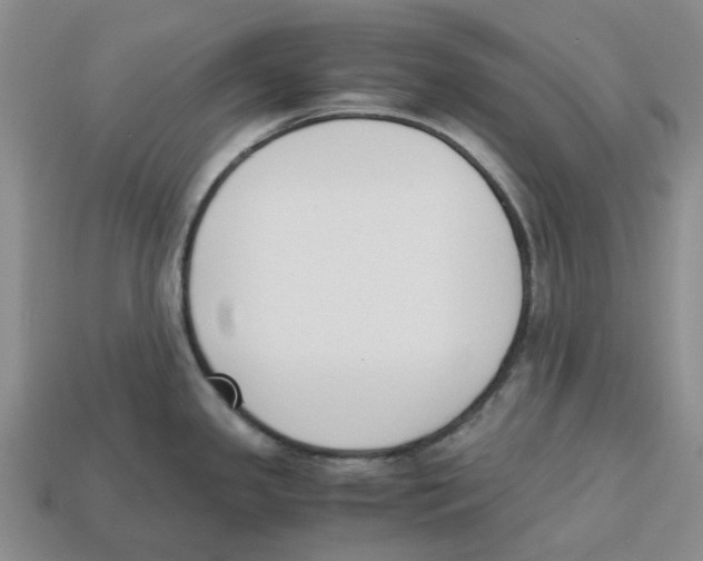 X0000113171341200910021514