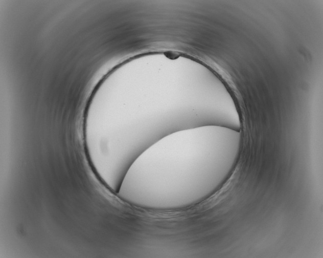 X0000113171342200910021514