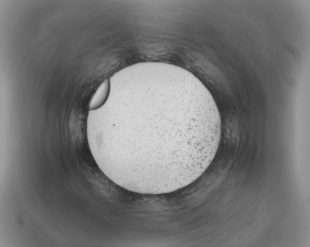 X0000113171346200910021513