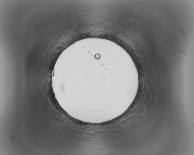 X0000113171349200910021513