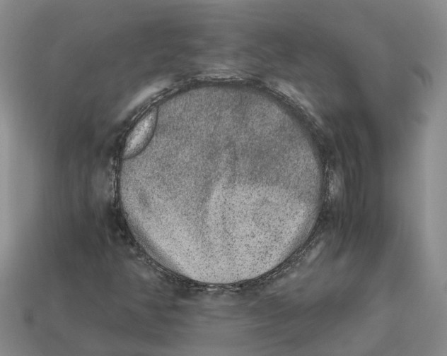 X0000113171350200910021513