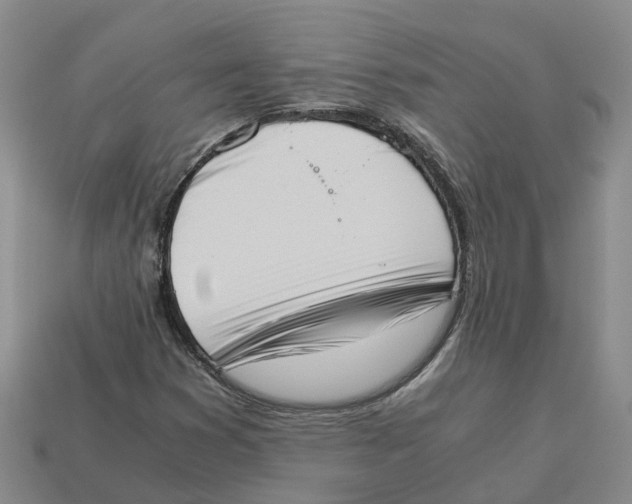 X0000113171353200910021513