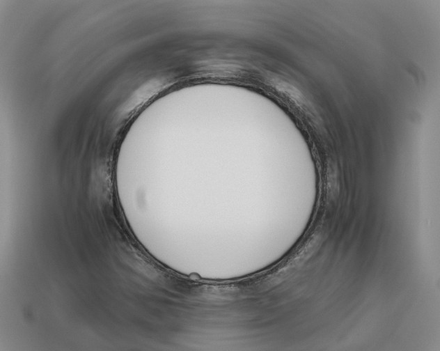 X0000113171354200910021513