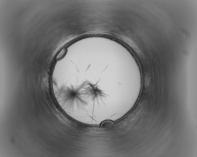 X0000113171356200910021513