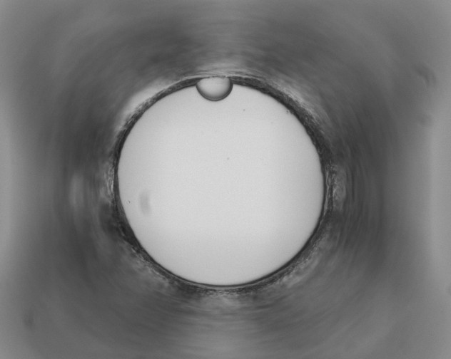 X0000113171358200910021513