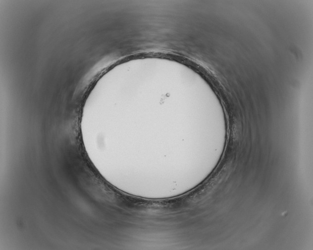X0000113171359200910021513