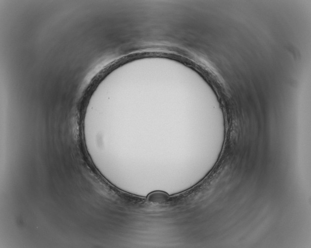 X0000113171360200910021513