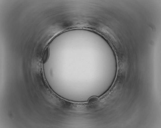 X0000113171361200910021513