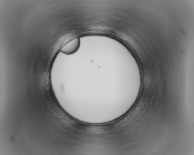 X0000113171362200910021513