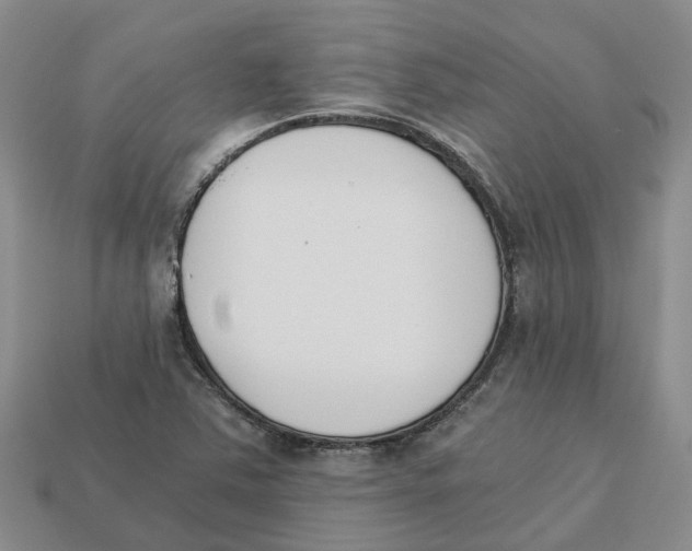 X0000113171363200910021513