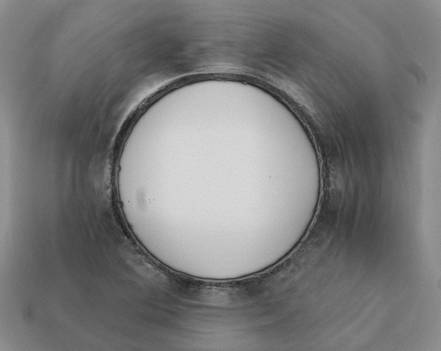 X0000113171364200910021513