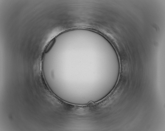 X0000113171365200910021513