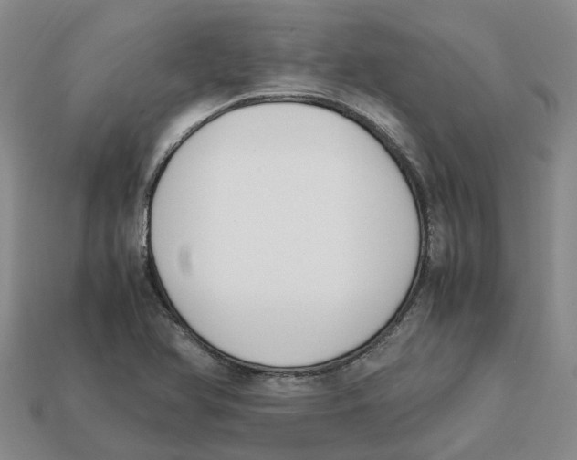 X0000113171366200910021513