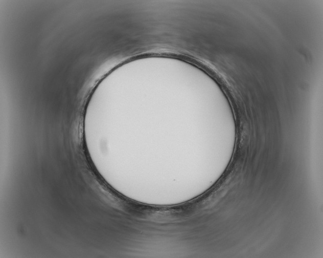 X0000113171367200910021513