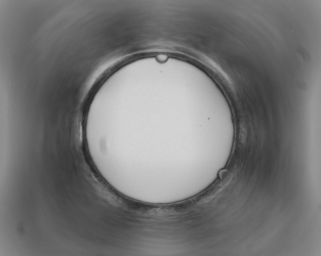 X0000113171368200910021513