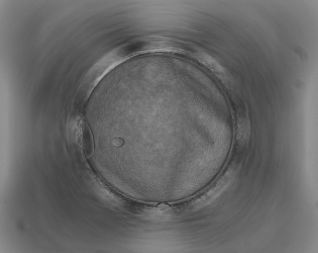 X0000113171369200910021513